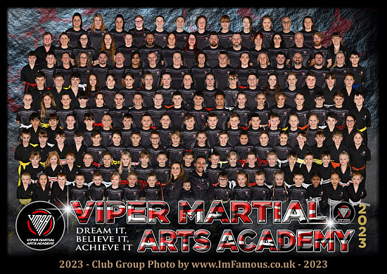 Viper Martial Arts Academy - Sun 26th to Mon 27th Nov 2023