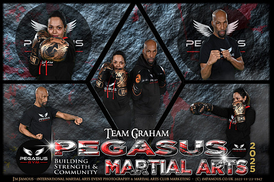 Pegasus Martial Arts - Sun 23th to Mon 24th Nov 2025