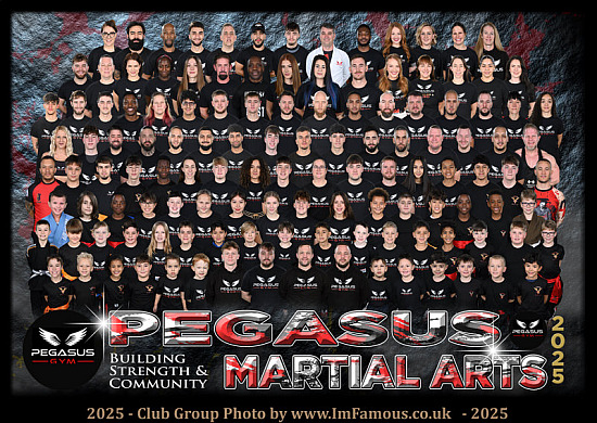 Pegasus Martial Arts - Sun 23th to Mon 24th Nov 2025