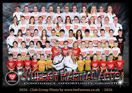 Synergy Martial Arts