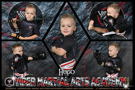 Viper Martial Arts Academy